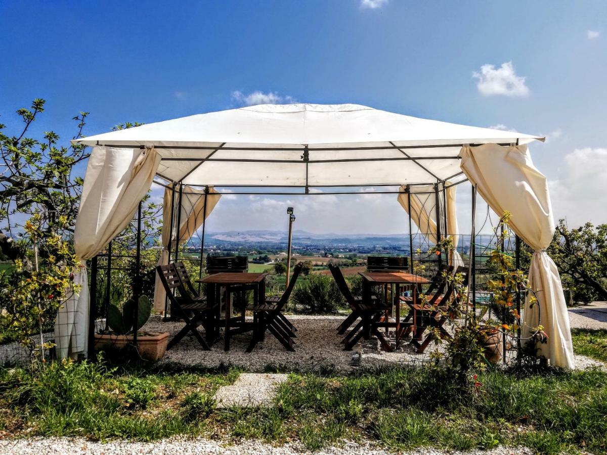 Agriturismo Rosa Antica Monte San Vito Exterior photo